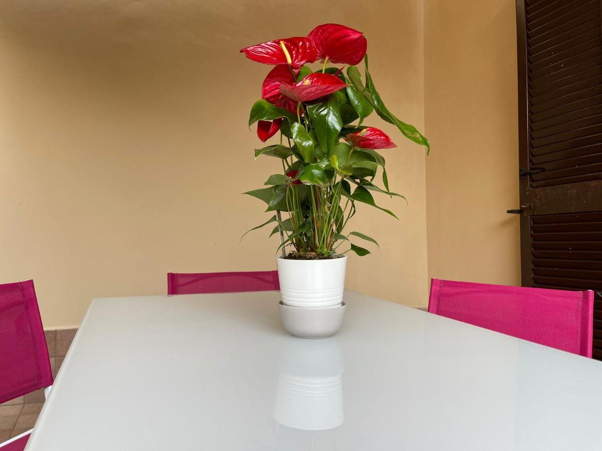 Flowers In Рим Екстер'єр фото
